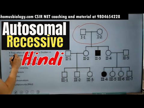 In Autosomal Dominant Inheritance Php Photoid